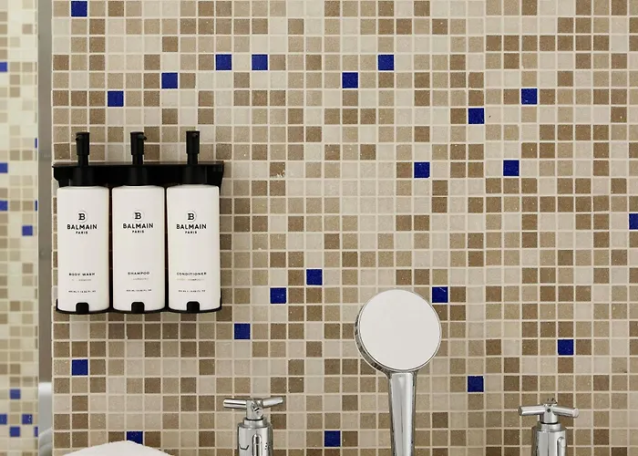 索菲特巴黎凯旋门酒店 5* 巴黎